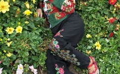 三个男人躁我一个爽公交车上